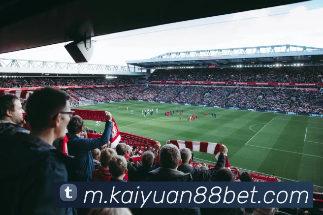 开元棋牌平台生态图